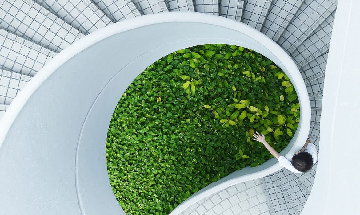Green architecture