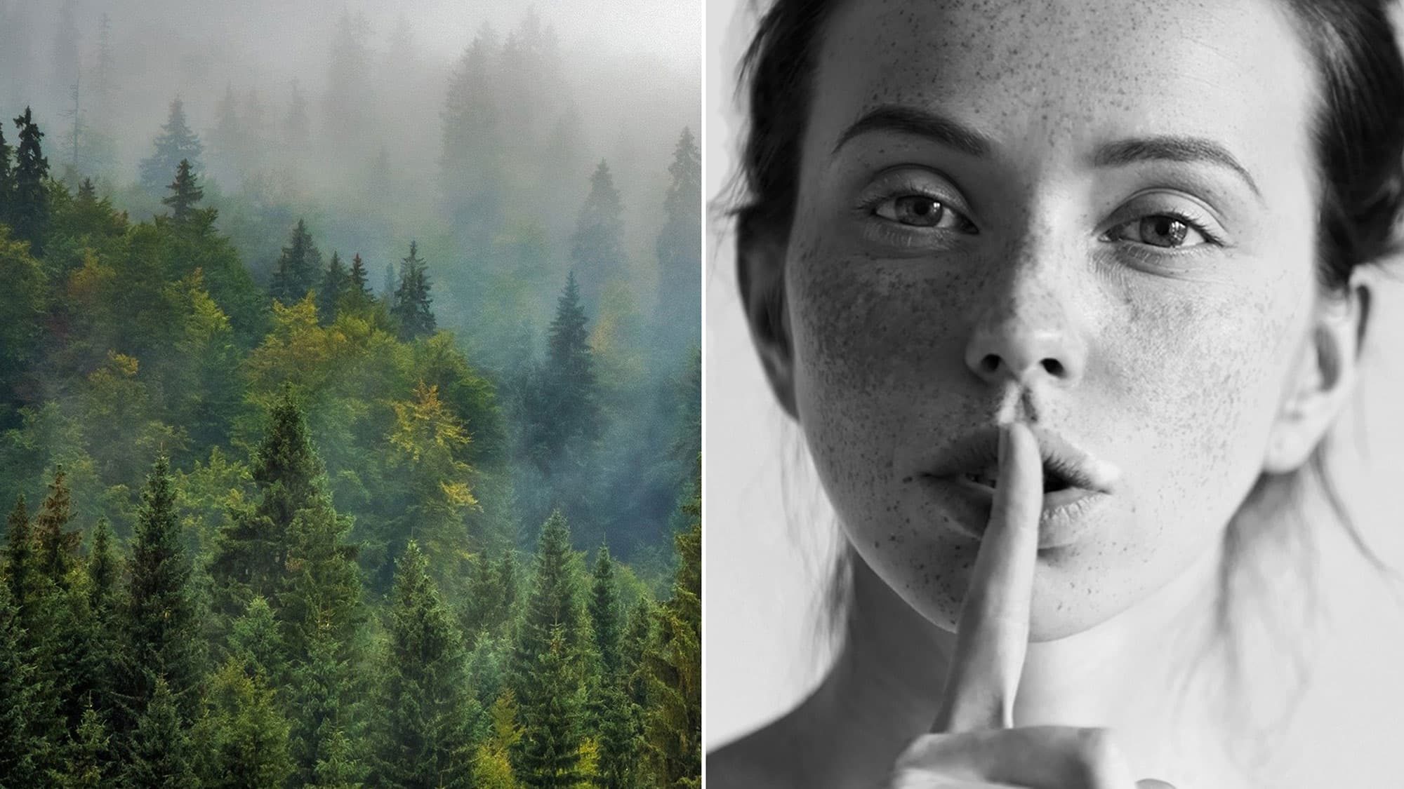 EcoSilent drive system by Kalea