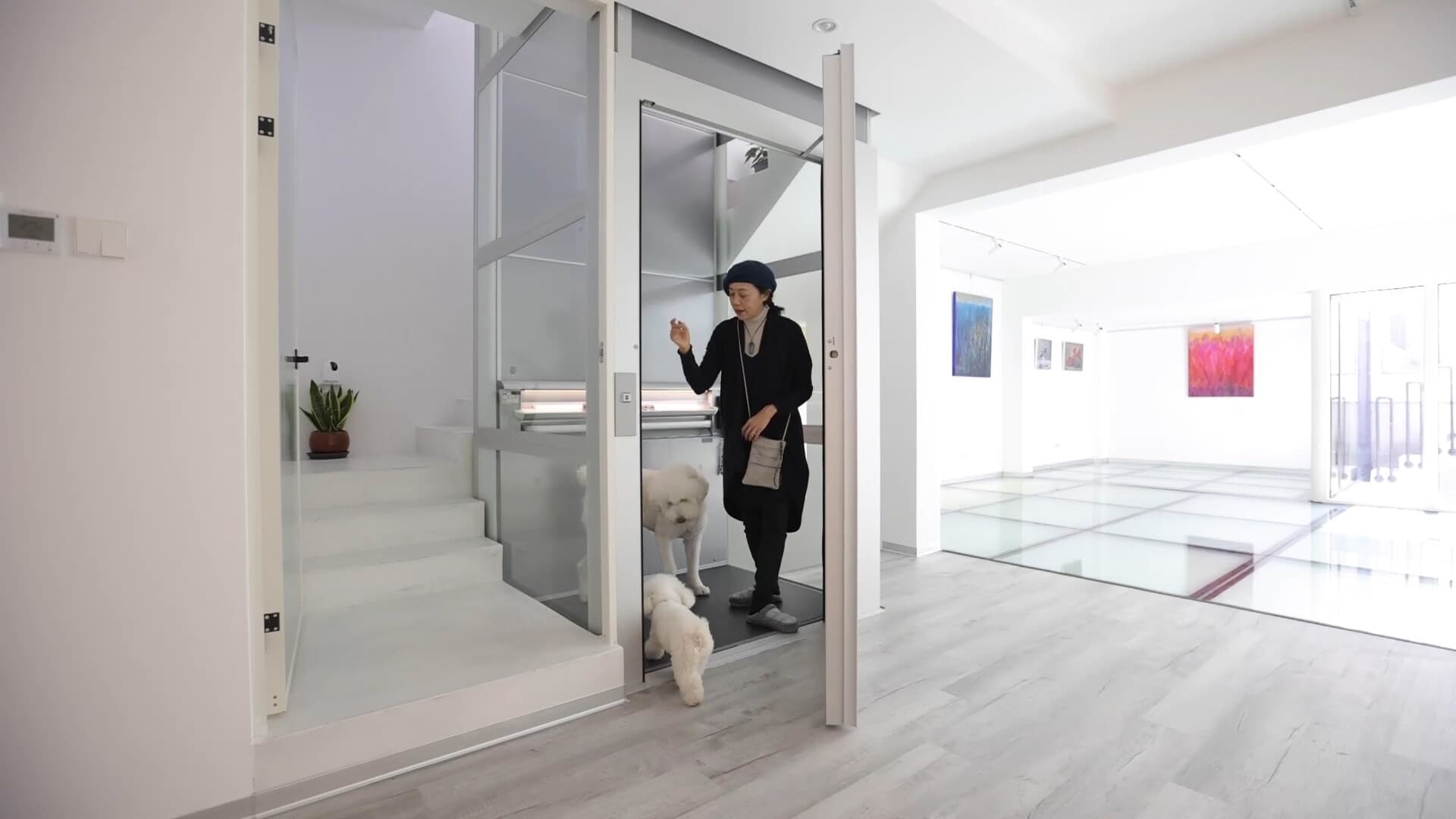Kalea A4 Primo in Hefei, Woman and her dog inside elevator